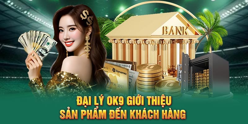 Đại lý OK9 giới thiệu sản phẩm đến khách hàng
