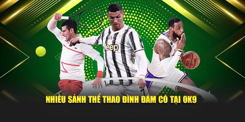 Nhiều sảnh thể thao đình đám có tại OK9