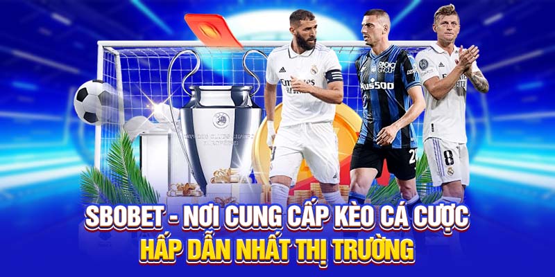 SBOBET tạo ra không gian giải trí trực tuyến, giúp người chơi tiếp cận đa dạng tỷ lệ cược. Trải nghiệm sự khác biệt trong từng kèo tại thị trường này.